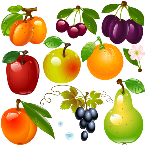 Realistic fruits and berry design vector 04 realistic fruits Berry   