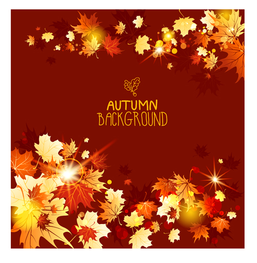 Bright autumn leaf backgrounds vector set 05 leaf background leaf backgrounds background autumn   