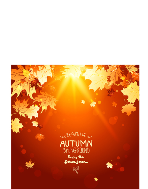 Bright autumn leaf backgrounds vector set 04 leaf background backgrounds background autumn   