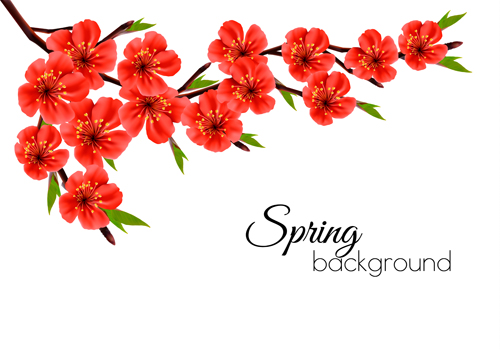 Beautiful red flowers spring vectors background spring flowers beautiful background   