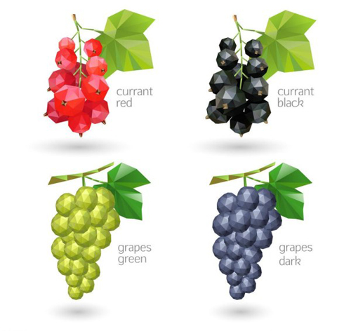 Geometric shapes currant and grapes vector shapes grapes Geometric Shapes Geometric Shape geometric   