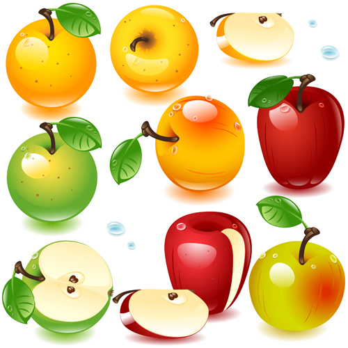 Realistic fruits and berry design vector 02 realistic fruits fruit Berry   