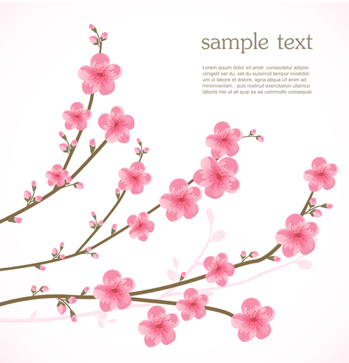 Spring pink cherry vector background spring pink cherry background   