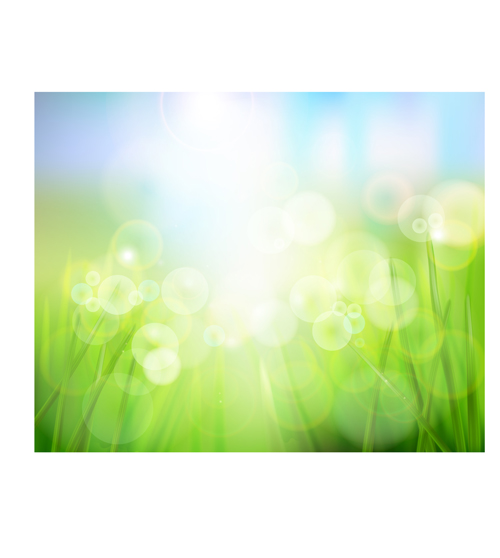 Bright Spring backgrounds 05 spring bright backgrounds background   