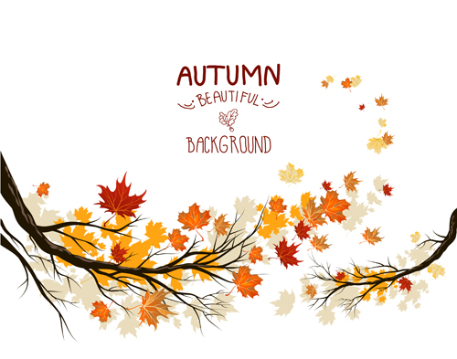 Bright autumn leaf backgrounds vector set 02 leaf background leaf bright backgrounds background autumn   
