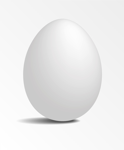 White Eggs design vector White Eggs eggs   