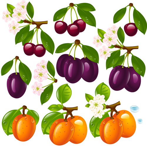 Realistic fruits and berry design vector 03 realistic fruits Berry   