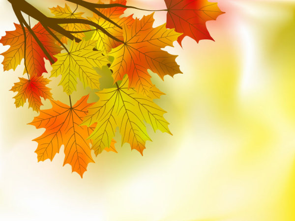 Fall of Maple Leaf elements background vector 01 maple leaf maple Fall elements element   