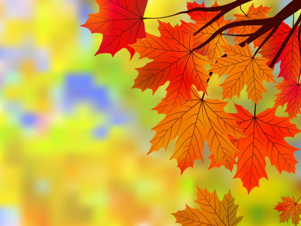 Fall of Maple Leaf elements background vector 05 maple leaf maple Fall elements element   