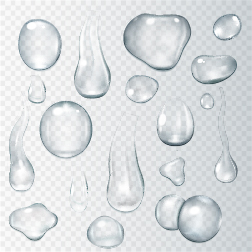 Transparent water drops illustration vector material 05 water drop transparent illustration Drops   