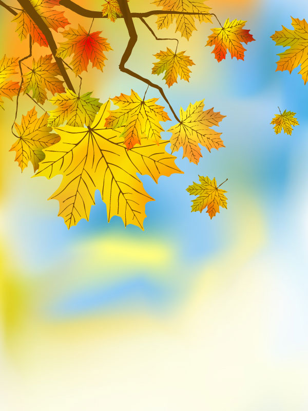 Fall of Maple Leaf elements background vector 03 maple leaf maple Fall elements element   