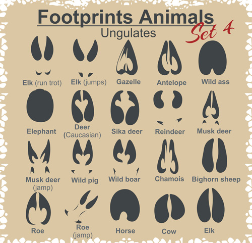 Various footprints animals design vectors 02 Various Footprints animals   