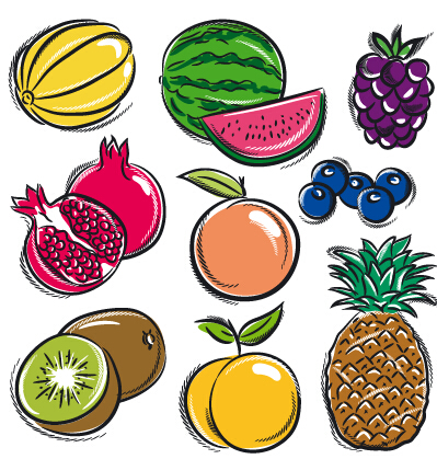 Hand drawn fruits graphics vector 02 hand drawn fruits   