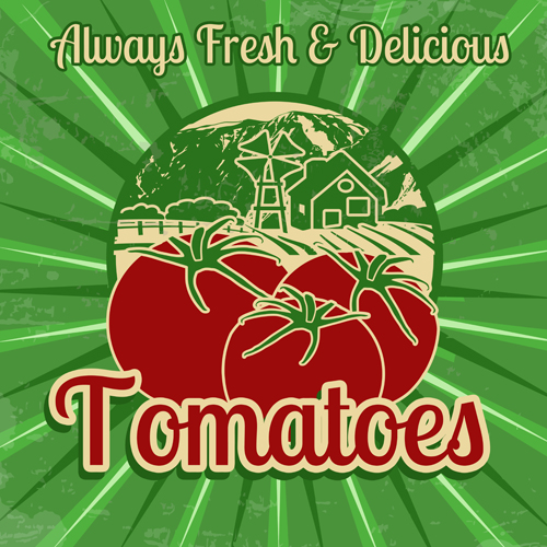 Fresh tomato retro style poster vector material 07 vector material tomato Retro style Retro font poster   