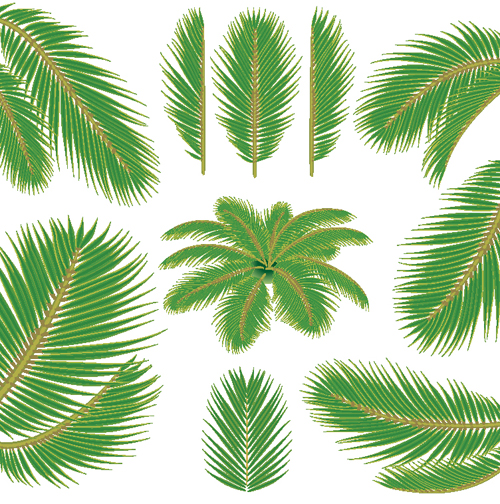 Set of green Palm leaves vector 02 Palm leaves green   