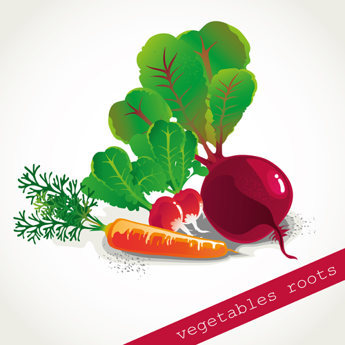 Vegetables roots design vector vegetables vegetable roots   