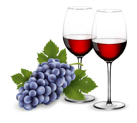 purple grape with wine design vectors wine purple grape   