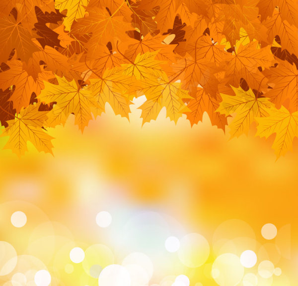 Fall of Maple Leaf elements background vector 06 maple leaf maple Fall elements element   