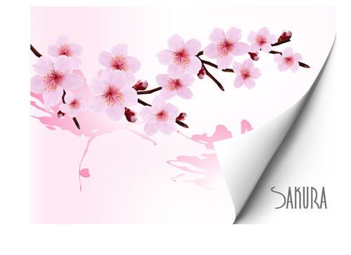 Spring pink flower vector background graphics 01 Vector Background spring pink flower   