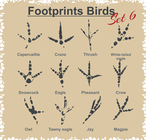 Various footprints animals design vectors 04 Various Footprints animals   