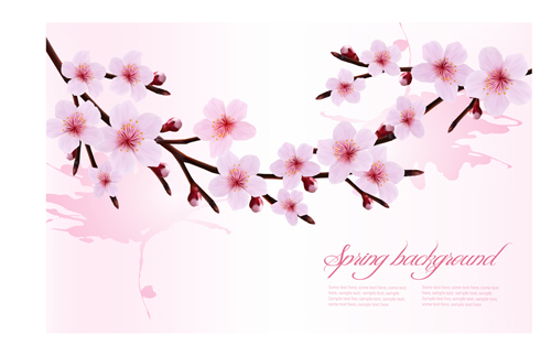 Spring pink flower vector background graphics 02 Vector Background spring pink flower   