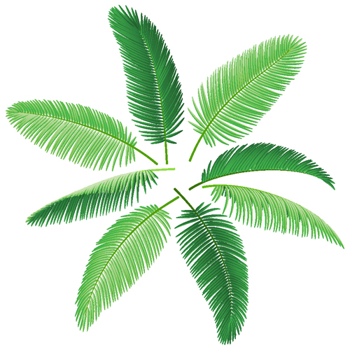 Set of green Palm leaves vector 05 Palm leaves green   