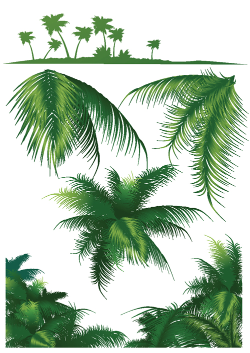 Set of green Palm leaves vector 03 Palm leaves green   