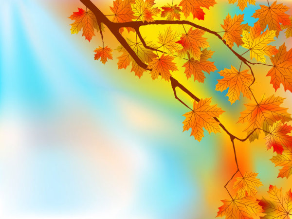 Fall of Maple Leaf elements background vector 02 maple leaf maple Fall elements element   