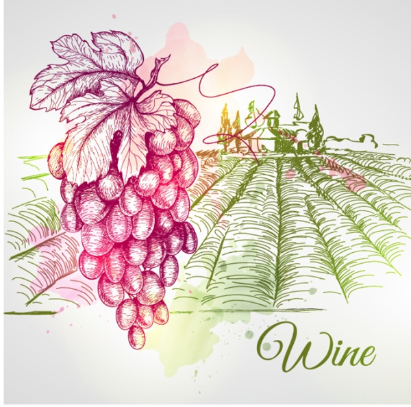 Grape and farm hand drawing vector material Hand drawing grape farm   