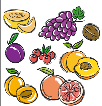 Hand drawn fruits graphics vector 03 hand drawn fruits   