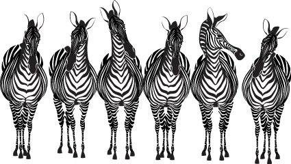 Hand drawn Zebra and giraffe design vector 03 zebra hand-draw hand drawn giraffe   