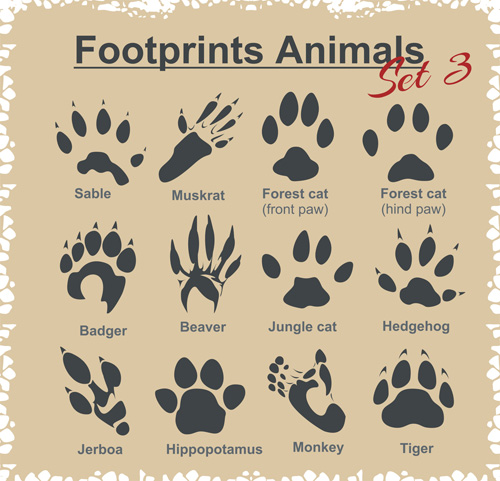 Various footprints animals design vectors 01 Various Footprints animals   