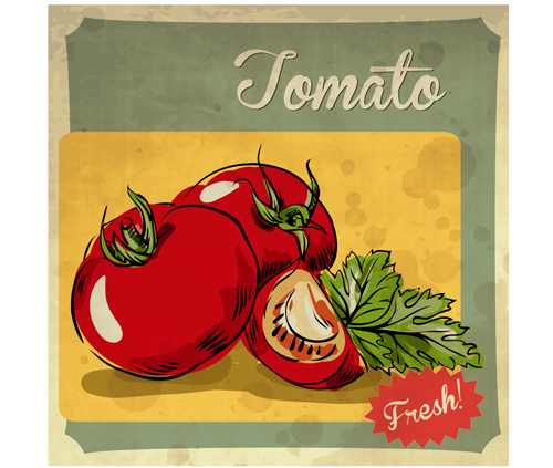 Fresh tomato retro style poster vector material 03 vector material tomato Retro style Retro font poster material   