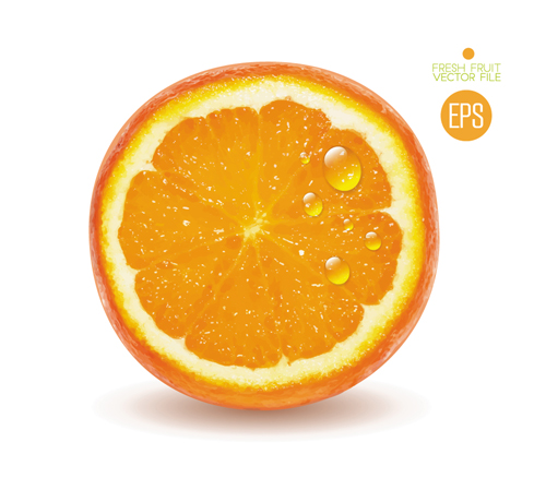 Fresh fruit citrus vector material set 03 fruit fresh citrus   