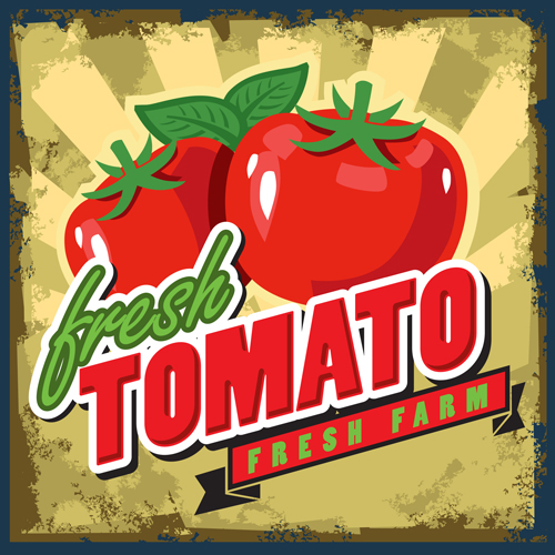 Fresh tomato retro style poster vector material 06 vector material tomato Retro style poster material   
