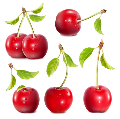 Shuilingling cherry vector material Shuilingling material cherry   