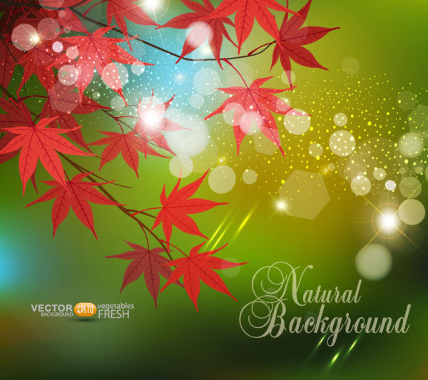 Fall of Maple Leaf elements background vector 09 maple leaf maple Fall elements element   