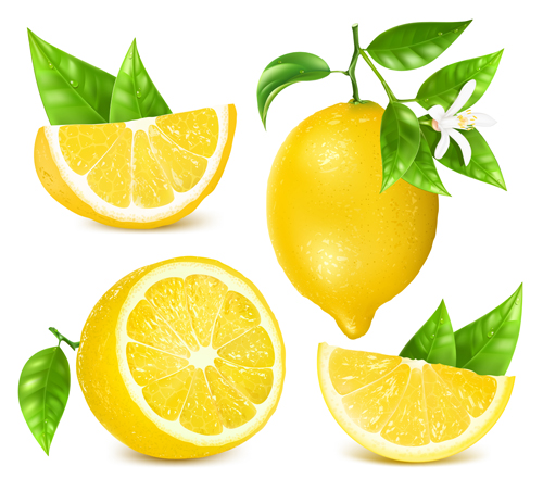 Yellow lemon vector material yellow material lemon   