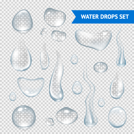 Transparent water drops illustration vector material 01 water drop water transparent   