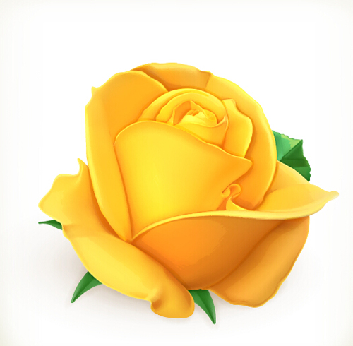 Yellow rose vector material yellow rose material   