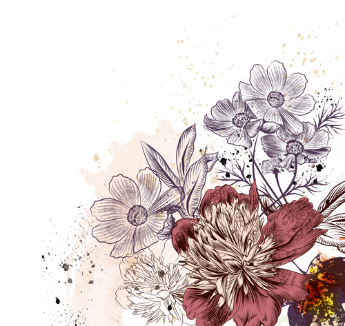 Peony and cosmos flowers vector illustration Peony illustration flowers cosmo   