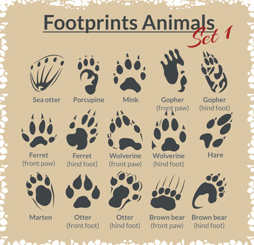 Various footprints animals design vectors 06 Various Footprints animals   