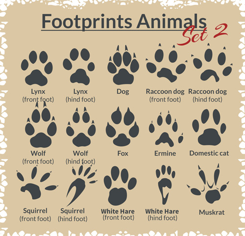 Various footprints animals design vectors 05 Various Footprints animals   