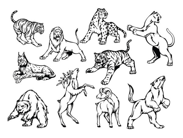 Hand drawn different Animal design vector hand drawn different Animal   