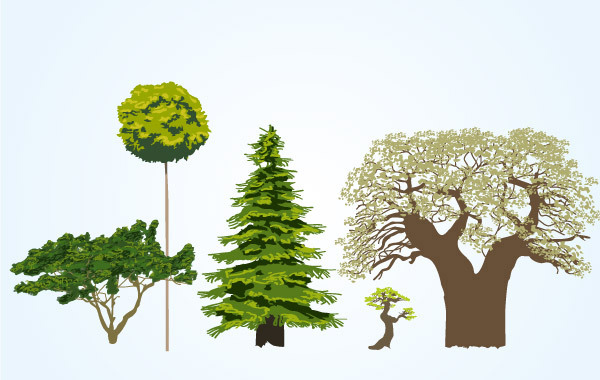 Different tree vectors material tree material different   