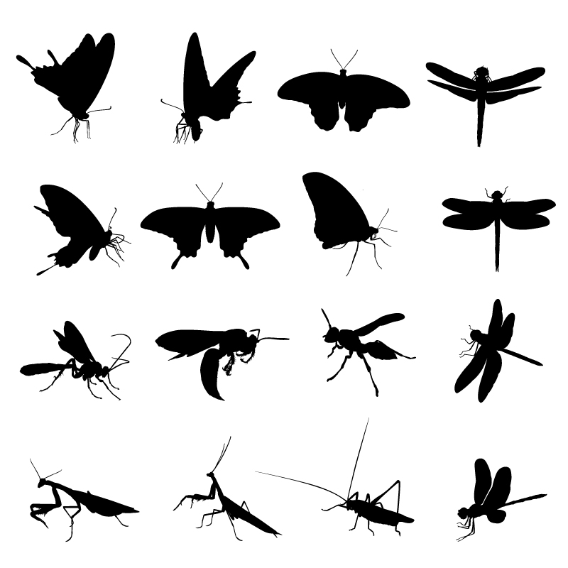 Different Insect silhouettes creative vector silhouettes silhouette different creative   