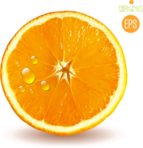 Juicy slice oranges vector set 02 slice oranges juicy   