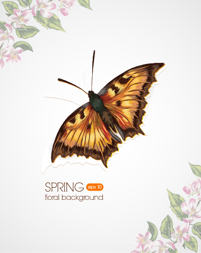 Butterflies and spring background vector 02 spring butterflies background   