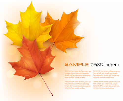 Beautiful autumn leaves background art vectors 03 beautiful autumn leaves autumn   