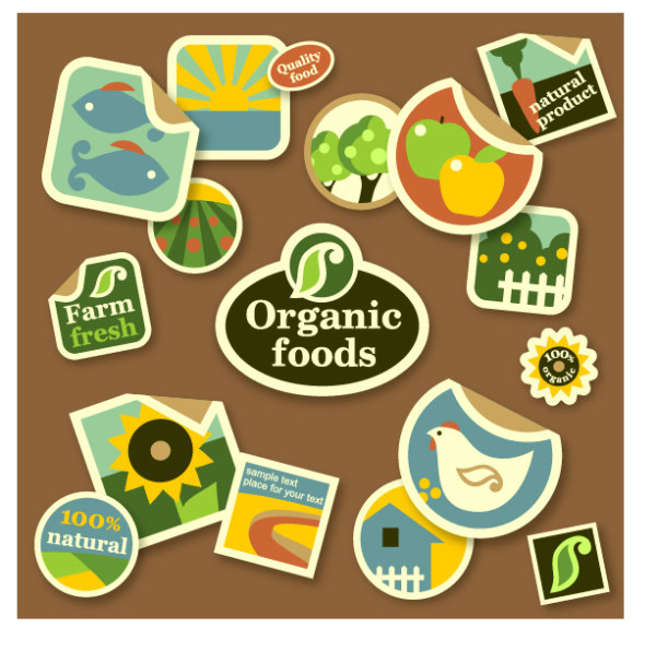 Cute organic foods sticker vector sticker organic food   